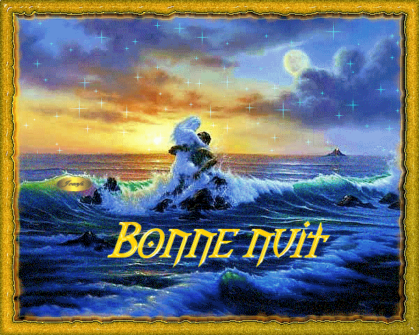 Bonne nuit à tous les amoureux  !!